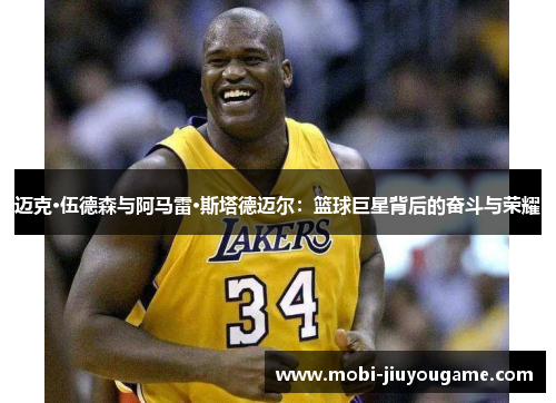 迈克·伍德森与阿马雷·斯塔德迈尔：篮球巨星背后的奋斗与荣耀
